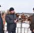 Своя продукция лучше импортной - Газета Правда севера