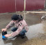 Талые воды  в нашем дворе - Газета Правда севера