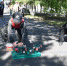 Лето с пользой - Газета Правда севера