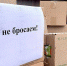 #Мы вместе – этим и сильны - Газета Правда севера