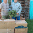 Наша помощь – лично в руки - Газета Правда севера